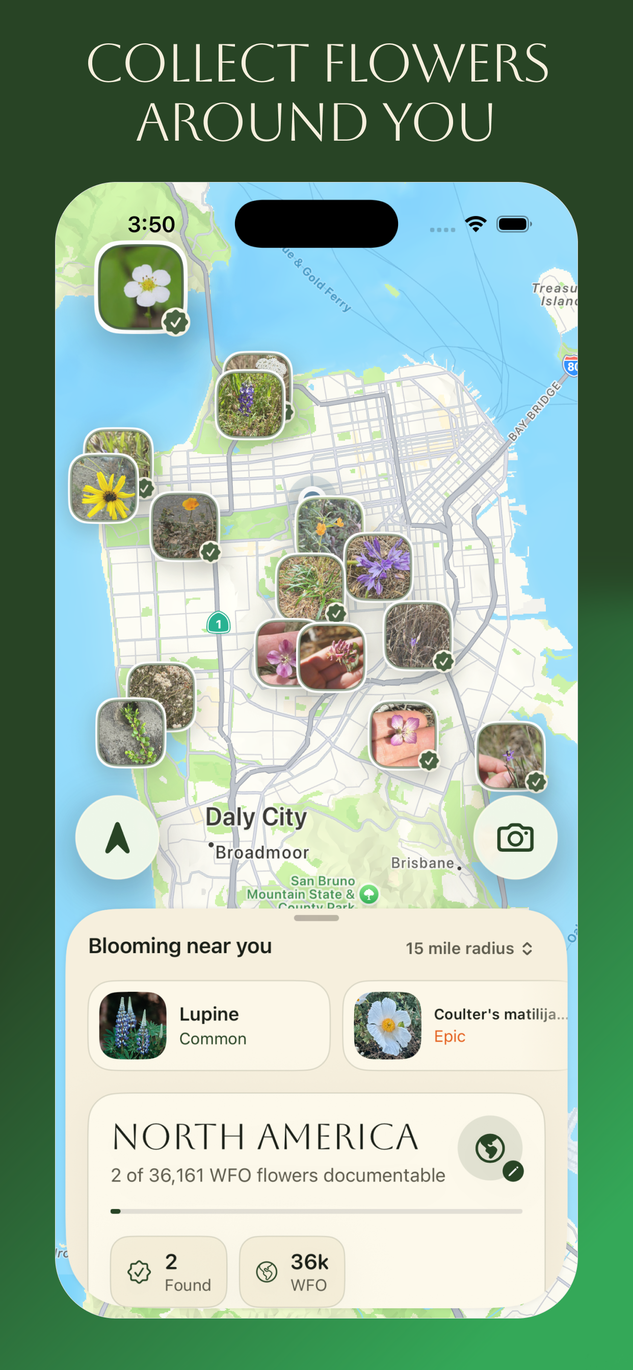 Ok Bloomer app screen showing collected flowers on a map.