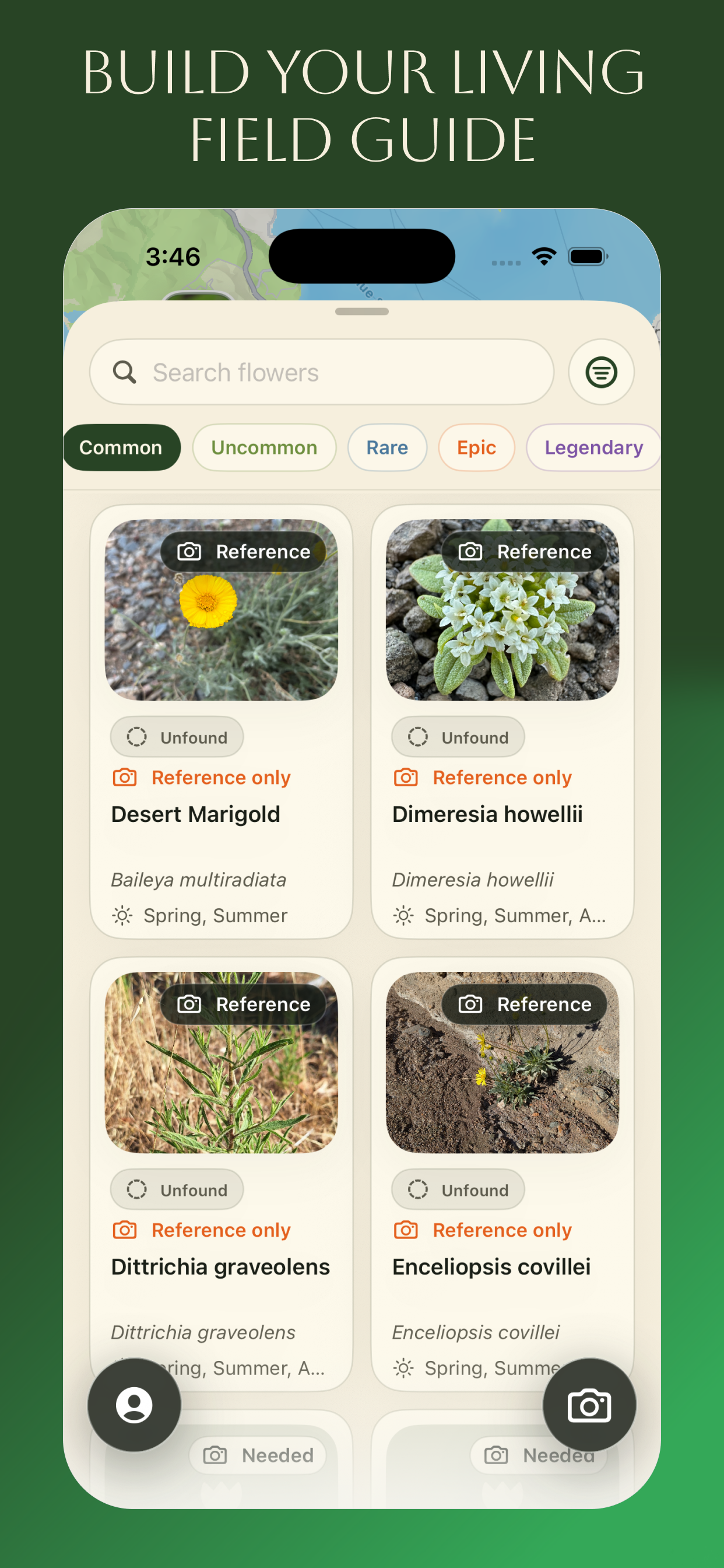 Ok Bloomer app screen showing a searchable field guide of nearby flowers.