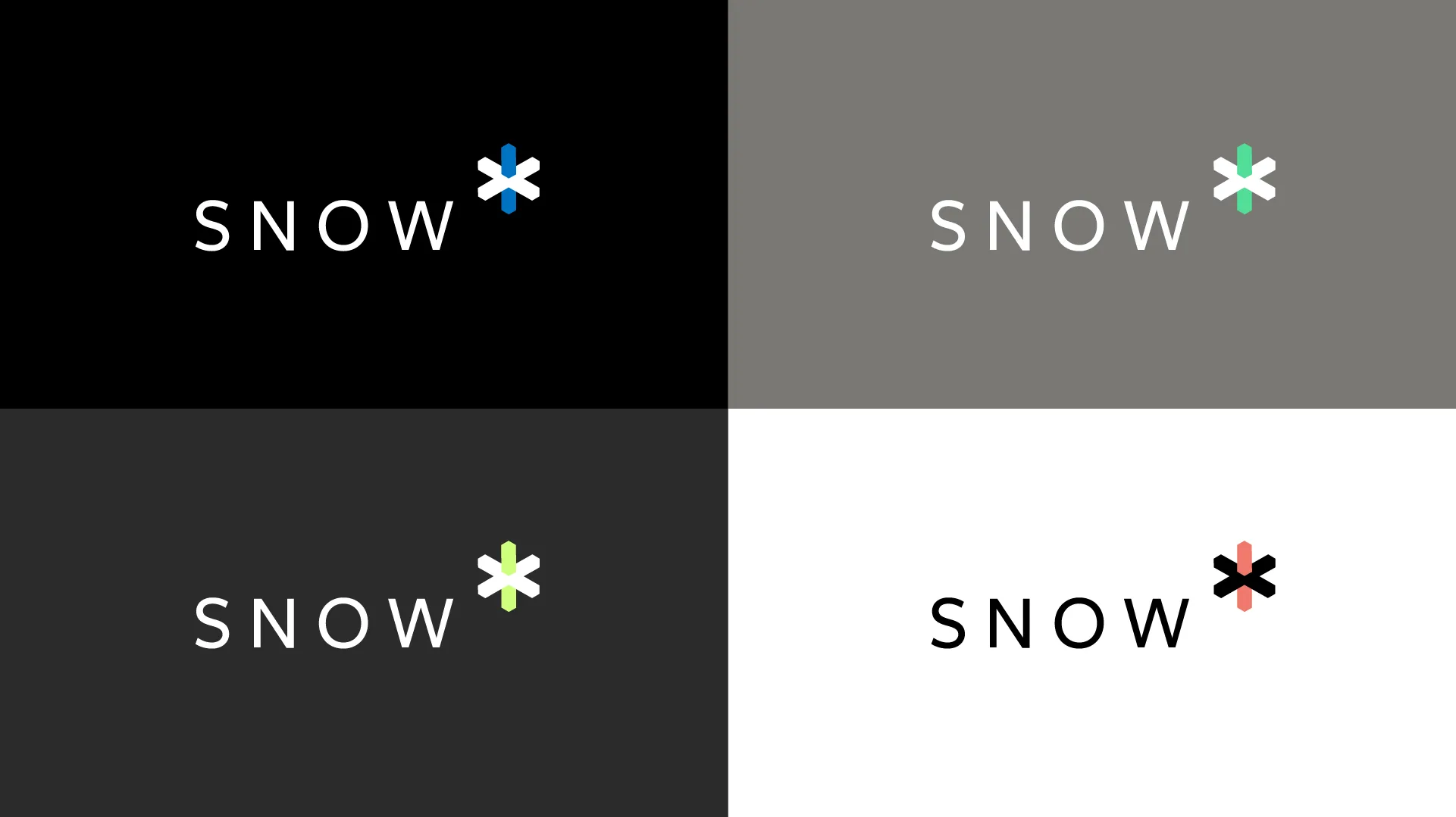 Snow case study visual 1